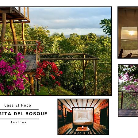 圣玛尔塔La Casita Del Bosque别墅 外观 照片