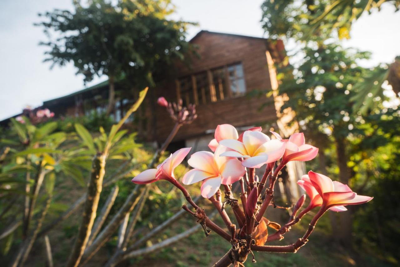 圣玛尔塔La Casita Del Bosque别墅 外观 照片